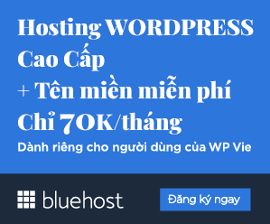 Bluehost Ads Banner